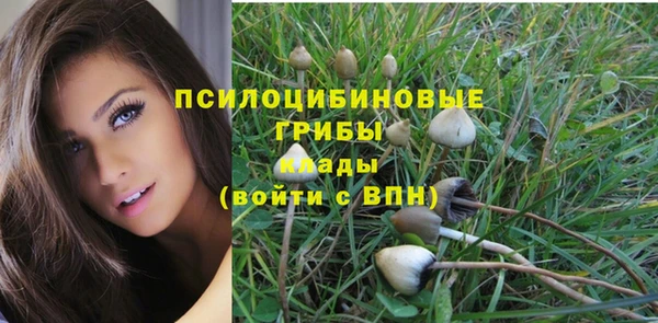 стафф Бородино
