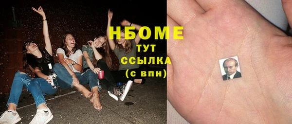 молекула духа Богородицк