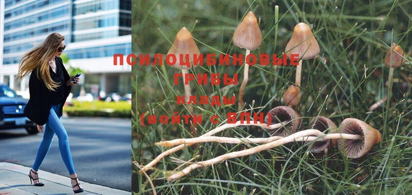 прущая мука Бронницы