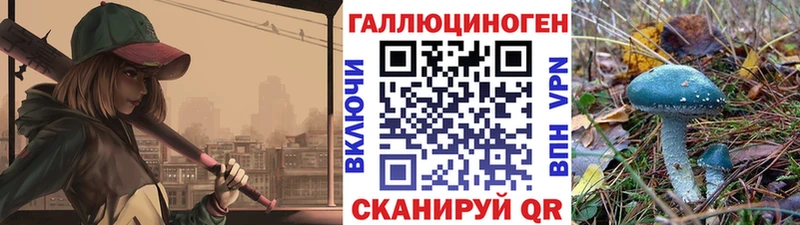 mega вход  Гатчина  Галлюциногенные грибы Cubensis 